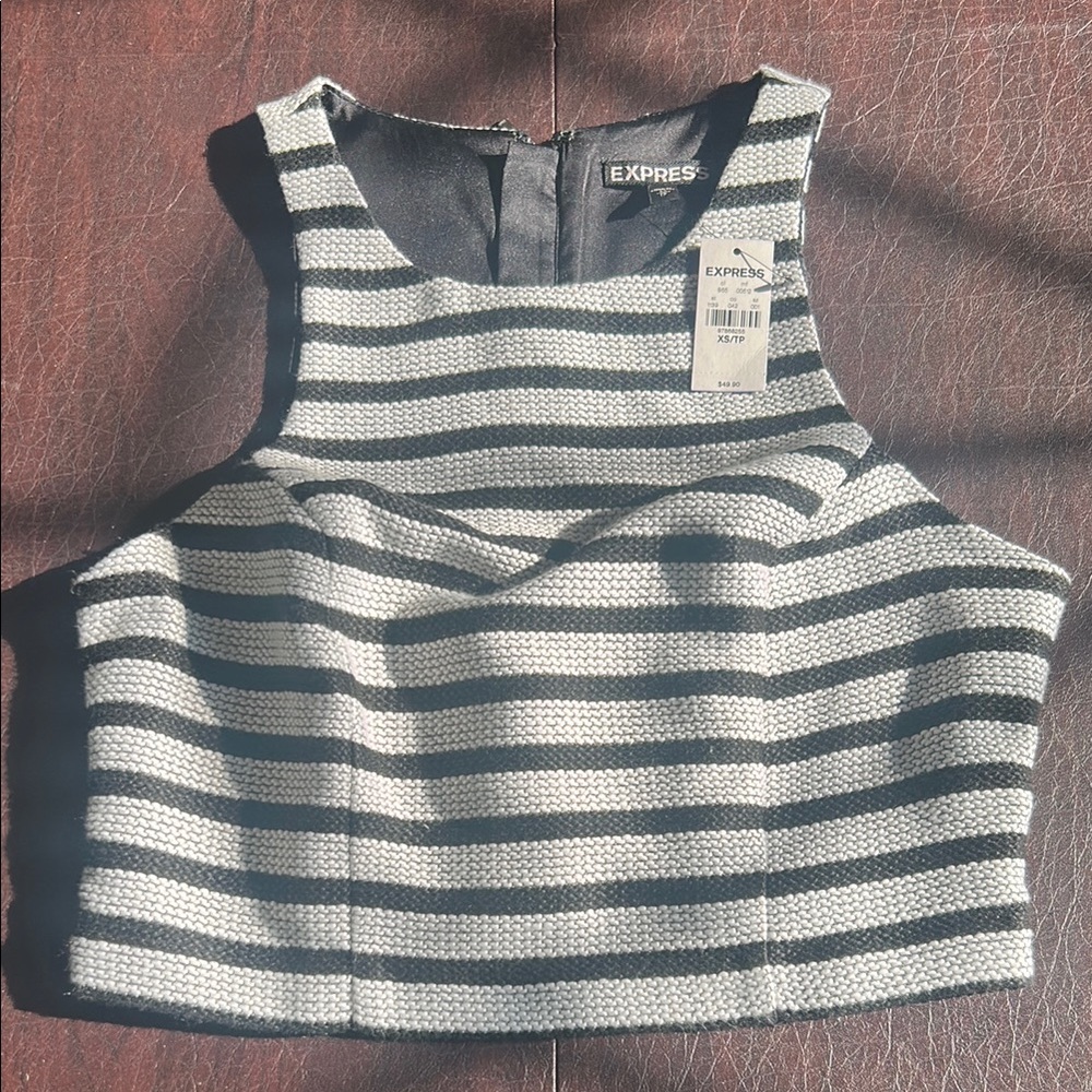 Express White and Blue Sleeveless Crop Tank Top